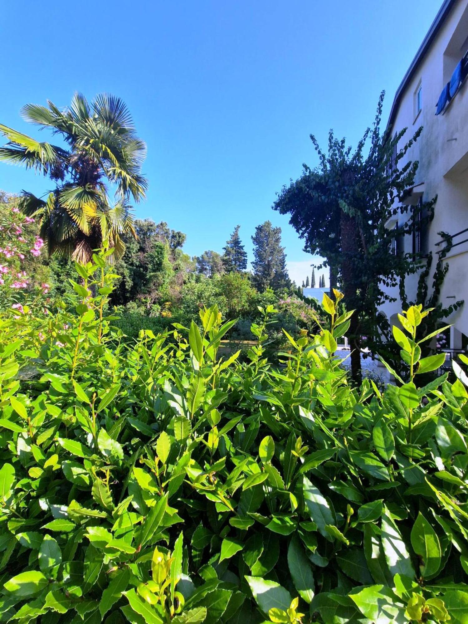 Molo View Apartment 罗维尼 外观 照片