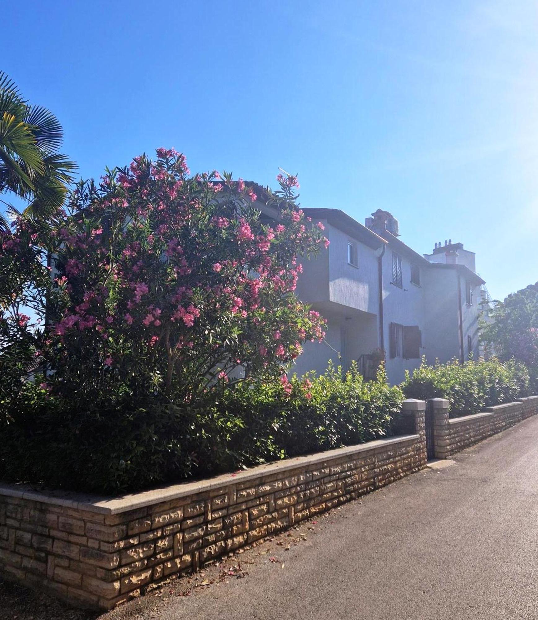Molo View Apartment 罗维尼 外观 照片