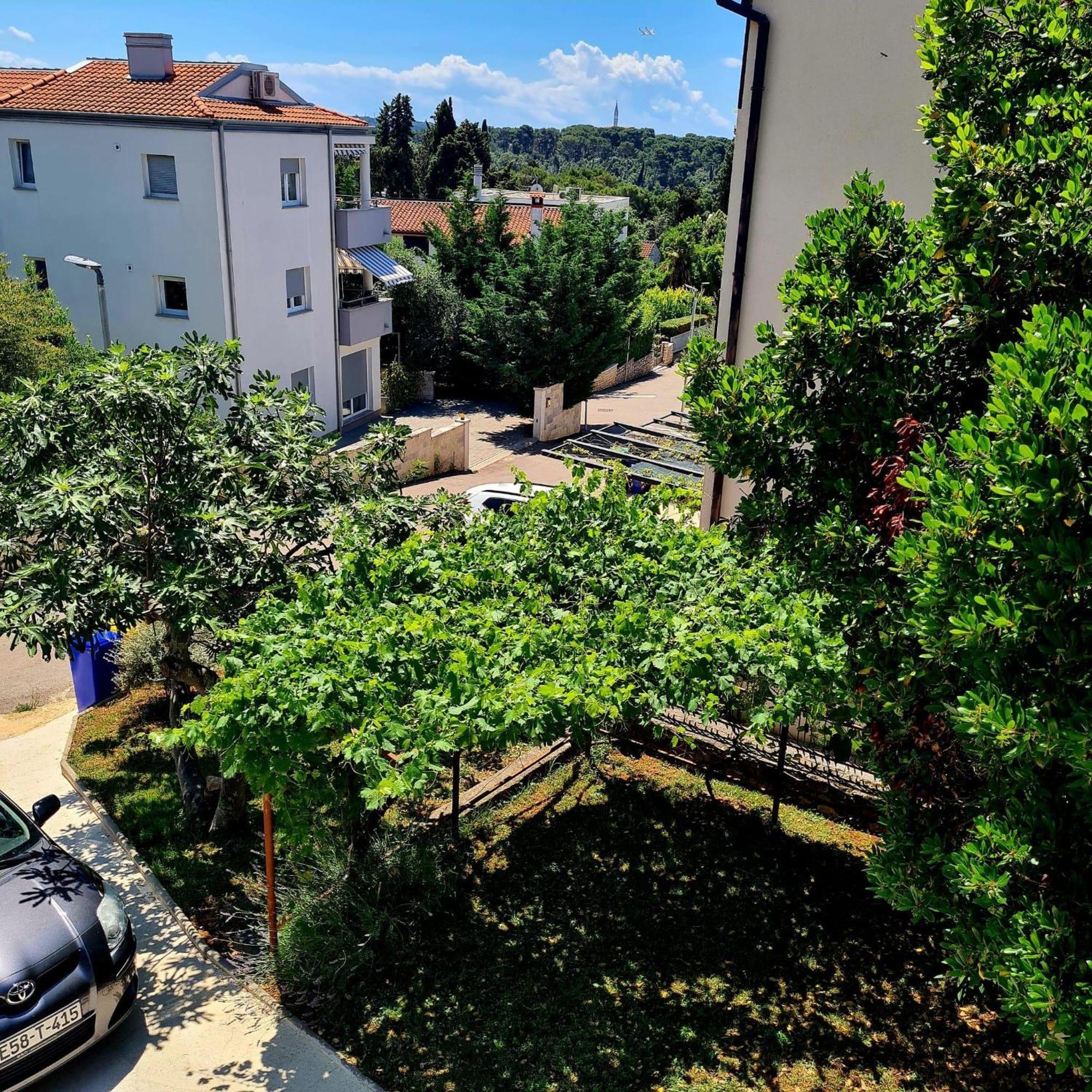 Molo View Apartment 罗维尼 外观 照片
